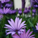 청춘목욕탕 이미지