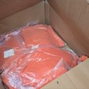 힘찬동물메디컬센터 이미지