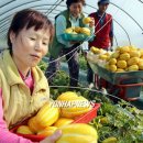 이재혁 농장 이미지