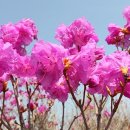 영취산민박