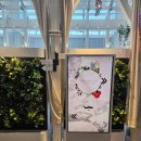 세상의모든아침 이미지