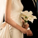 비원팜 | 03. 결혼식 준비리스트 꿀팁&amp;타임라인