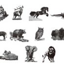 (주)포레스트 카라반 파크 이미지