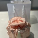 피노 돌잔치 후기2(어반가든스튜디오, 김제 꽃큰ricecake, 오위페스타)