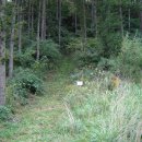 정선군 버들고개 이미지