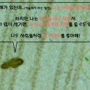 나투어존 퓨어앤라이프