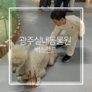 광주 실내동물원 벅스랜드 소동물체험관 조카랑 다녀온 후기
