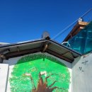 교동민화마을 | 충북제천여행 교동민화마을 다녀왔어요