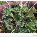 금강4농장 이미지