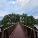 한반도섬 | 강원도 양구 가볼만한곳 한반도섬 조명켜지는 시간 주차 입장료