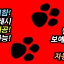 솔로몬코딩학원 이미지