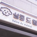 왈왈애견 이미지