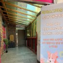 광주 애견카페 추천, 강아지와 함께 뛰어논 파파스그라운드 후기!!