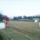 버스정류장 07-287 이미지