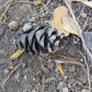 명동초등학교 이미지