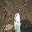 청풍하키장 이미지