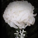 (주)프라임메디 네이버블로그