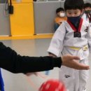 조대원태권도장 이미지