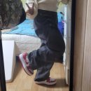 7004 | 나이키 에어조던1 엘리베이트 로우 바시티레드 DH7004-116 : 여자 255 착용후기, 사이즈팁