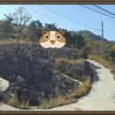 산청공인중개사사무소 이미지