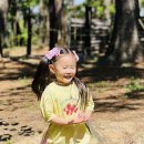 무양공원 놀이터(무양) 이미지