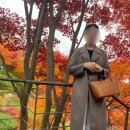 중부-현장-중부-378 | [경기/광주] 곤지암 리조트 화담숲 가을 시즌 단풍 후기 🍂🍁/ 광주 로컬 맛집 밀토랑 바지락칼국수...