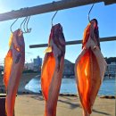 대변항 상징 조형물 이미지