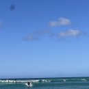 부기 1 | 🌊 와이키키 부기보드(바디보드) 살까 말까?