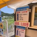 법수초등학교 | [ 함안 ] 실시간 6월 해바라기 축제 &#39; 함안 강주 해바라기 축제 &#39; 첫날 방문 후기, 개화시기, 주차장 위치