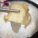 일산 풍동 횟집 물회 맛집 청정회활어 광어참돔 활어물회