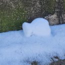 (주)부지런 | 2월 부지런했던 집순이 나였다. 팝업만 가는 사람이 되