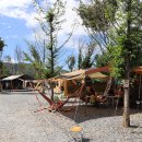 아리아리 숲속의 야영장 이미지