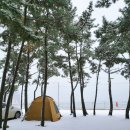 어은돌 | 어은돌 오토 캠핑장 설중캠 후기 서해 바다뷰 태안 오토 캠핑장