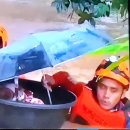 대원물세탁 이미지