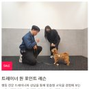 멈무아지트 | 설채현 놀로스퀘어 행동클리닉 원데이클래스 트레이너 원포인트 레슨 내돈내산 후기