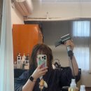 용산 미용실 시세이도 염색 전문 하이컬러 용산점 후기