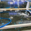 유일대게회식당 이미지