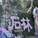 석림4로 | 쿤밍에서 석림 자유여행 및 가는법, 석림 후기