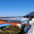 안성리-2 이미지