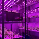 스마트2농장 이미지