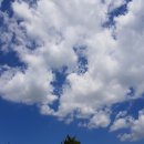 시우네분식 | 180905~181024 슭이로운 생활 (개강부터 중간고사까지)