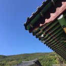 단청 이미지