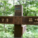 금어로2 이미지