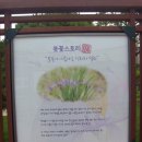 아름다운신화 Daum카페