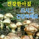 동탄순환대로 이미지