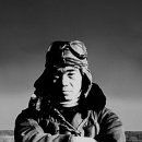 에이스 캣 이미지