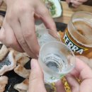대국민막창먹는날 티스토리