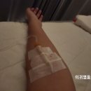 서울유가정의학과의원 네이버블로그