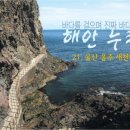 새천년로 이미지