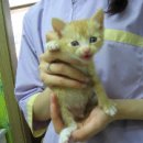 노룬산동물병원 이미지